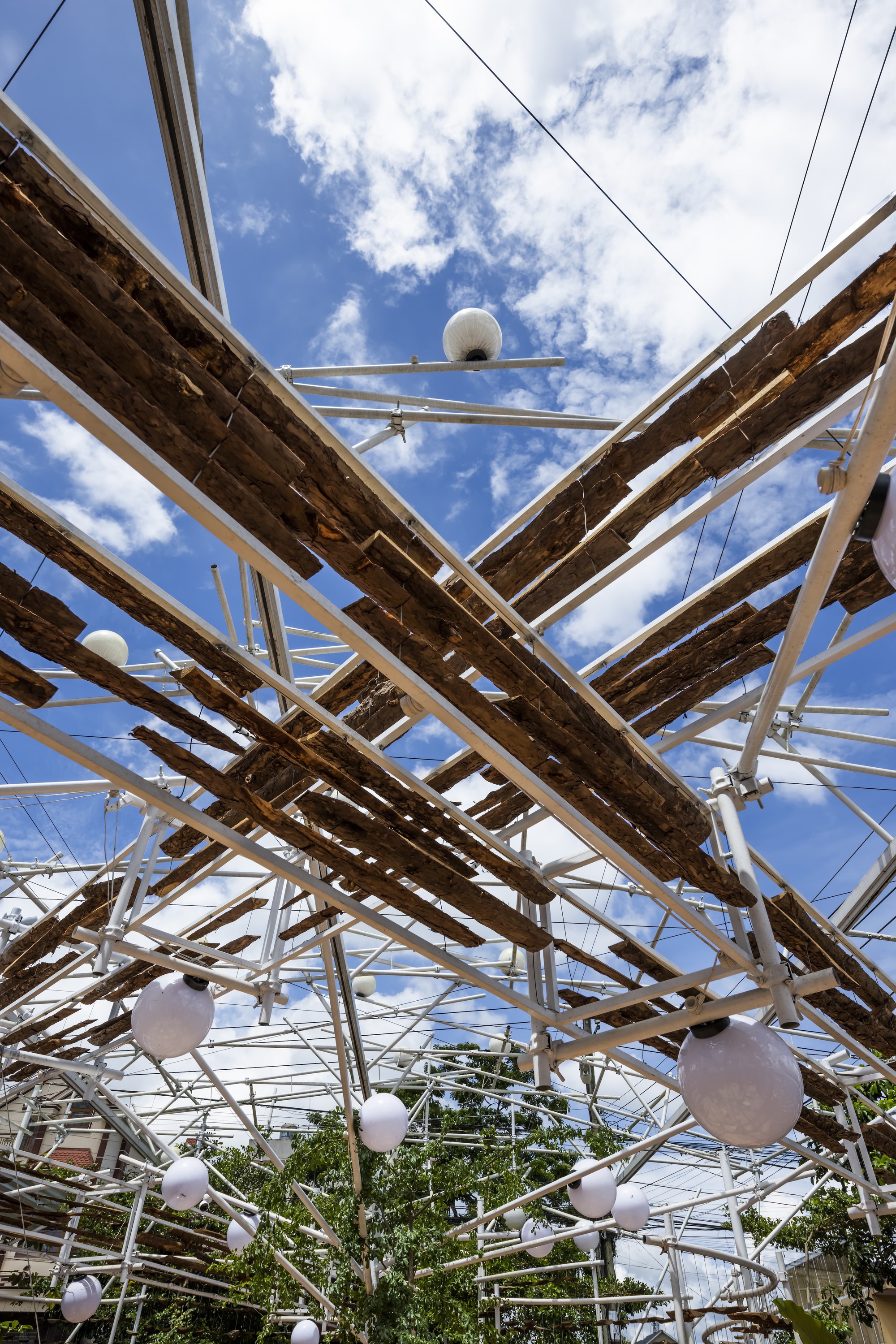 采茶，开花丨越南-51