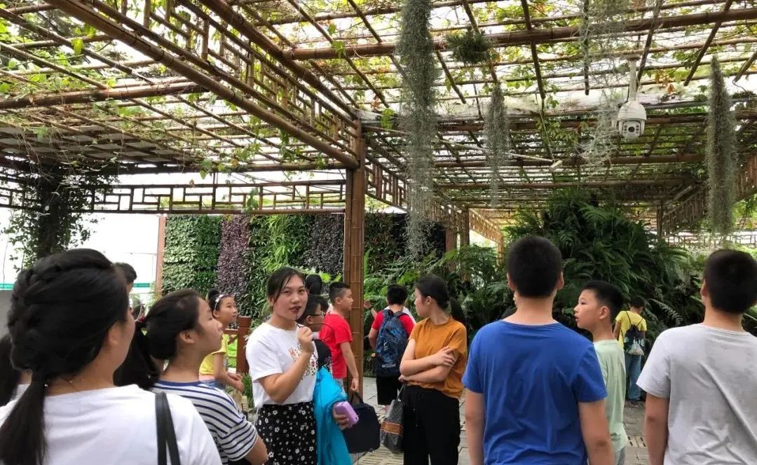 乡村文旅项目设计丨秋凌景观-73