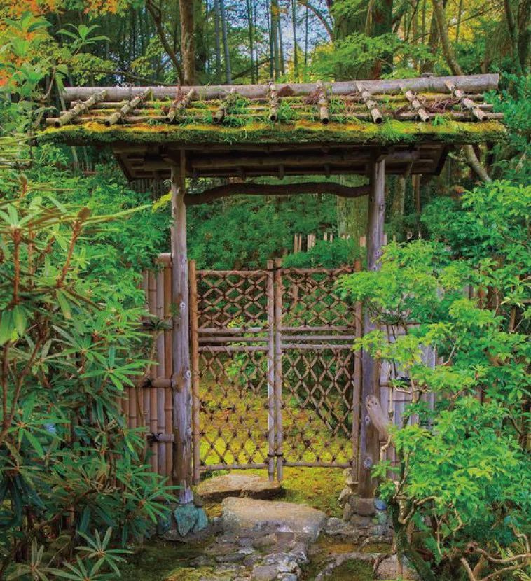 日本坪庭设计 | 微缩自然,打造静谧空间-22