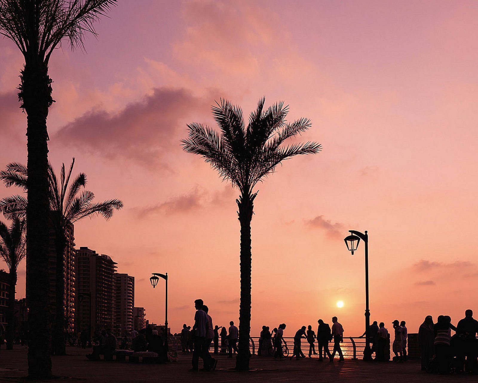 Amman安曼酒店-25