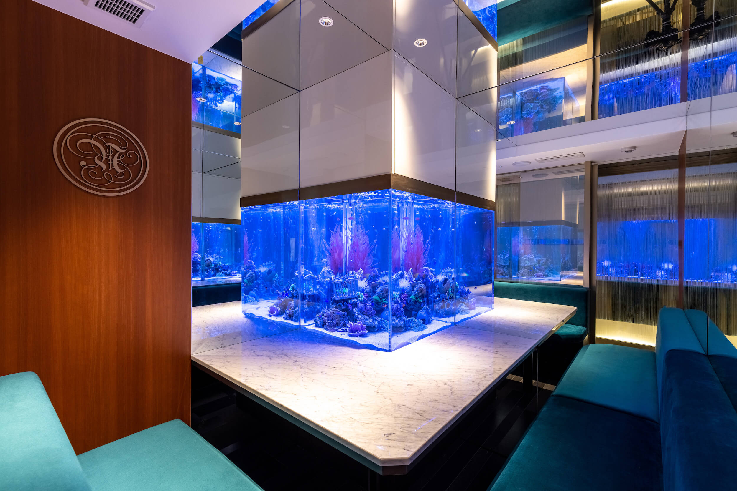 The Grand Blue Express-14