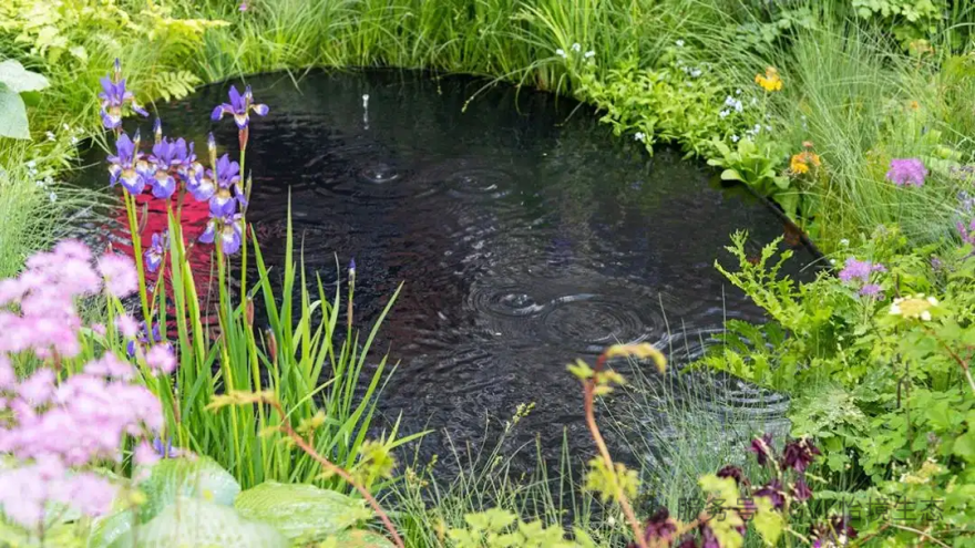 独家干货!在住宅区里建一个神奇水花园-74