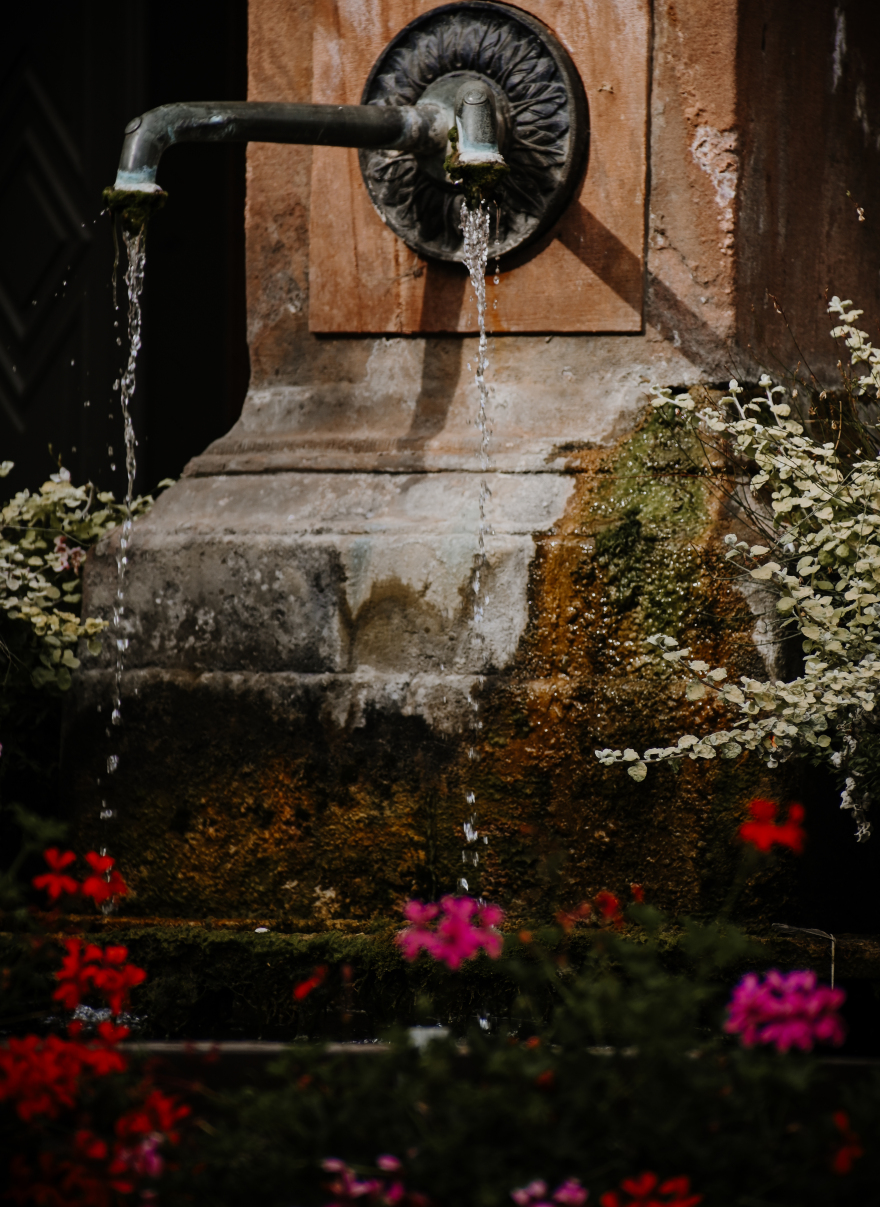 花与建筑的拥抱丨rach_vdb & hash_yan-17