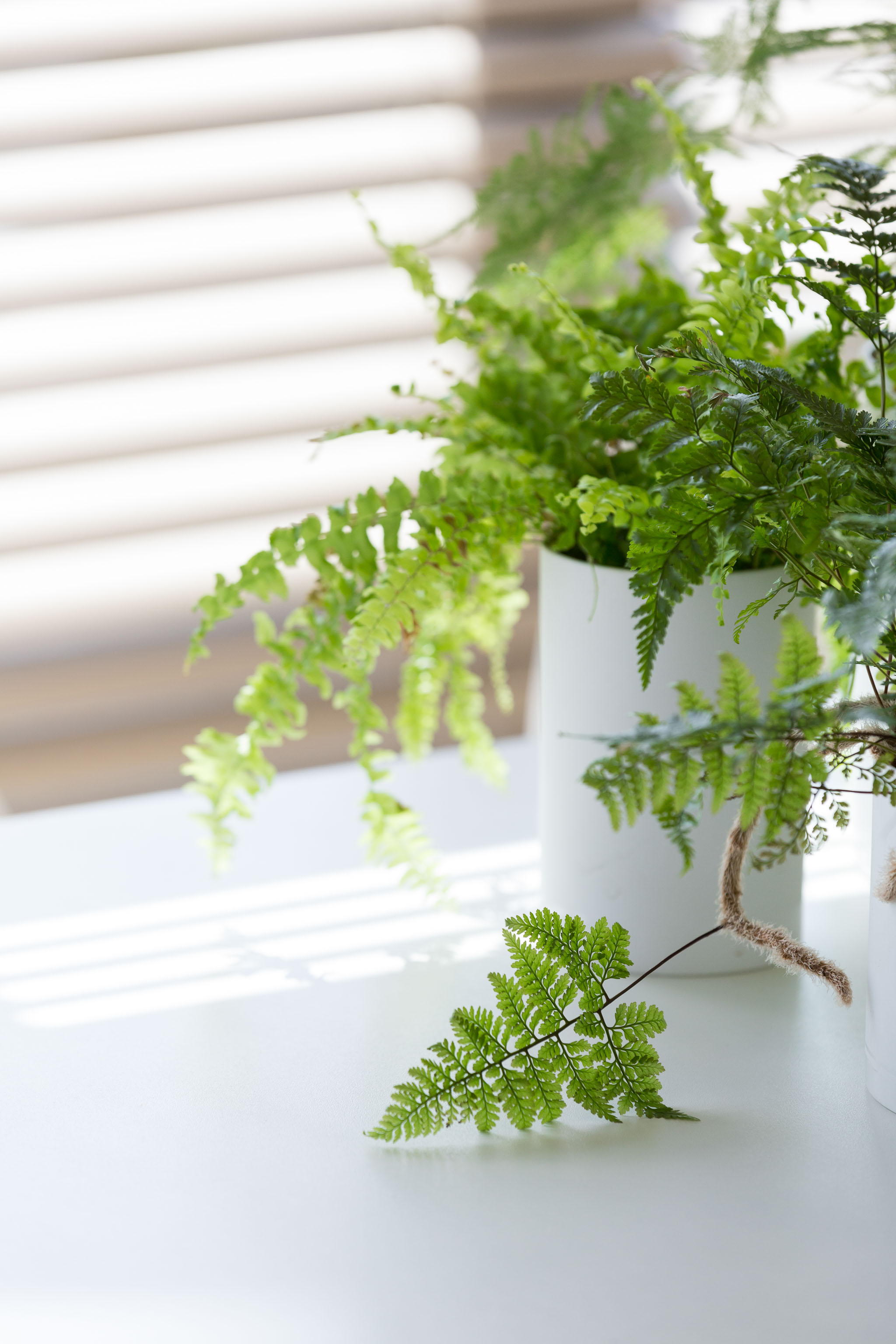 温哥华双海岸美景公寓-12