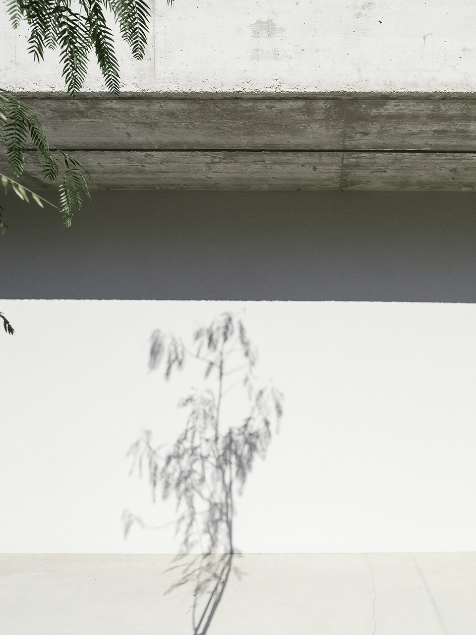 Gloma 住宅,葡萄牙 / Bruno Dias Arquitectura-66