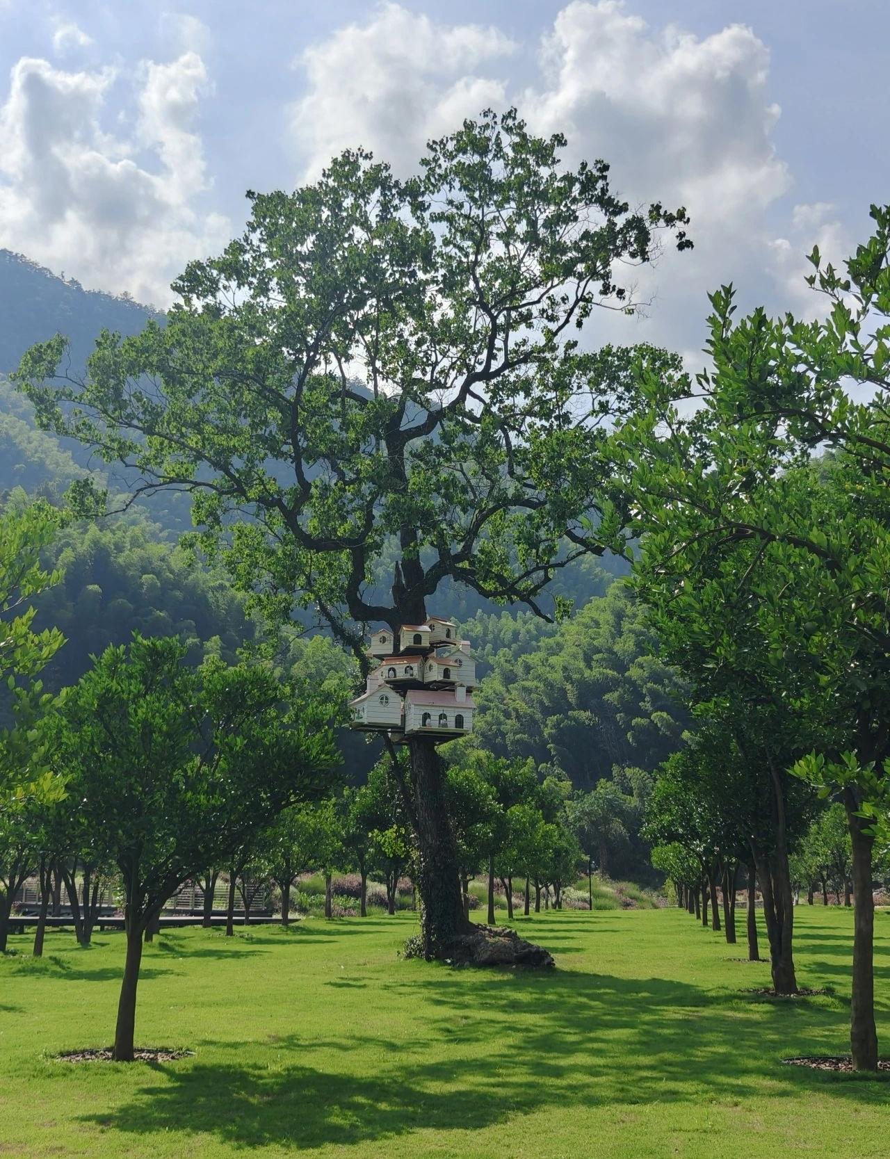第六季度假庄园丨中国黄山丨S+P空间的诗学设计事务所-6