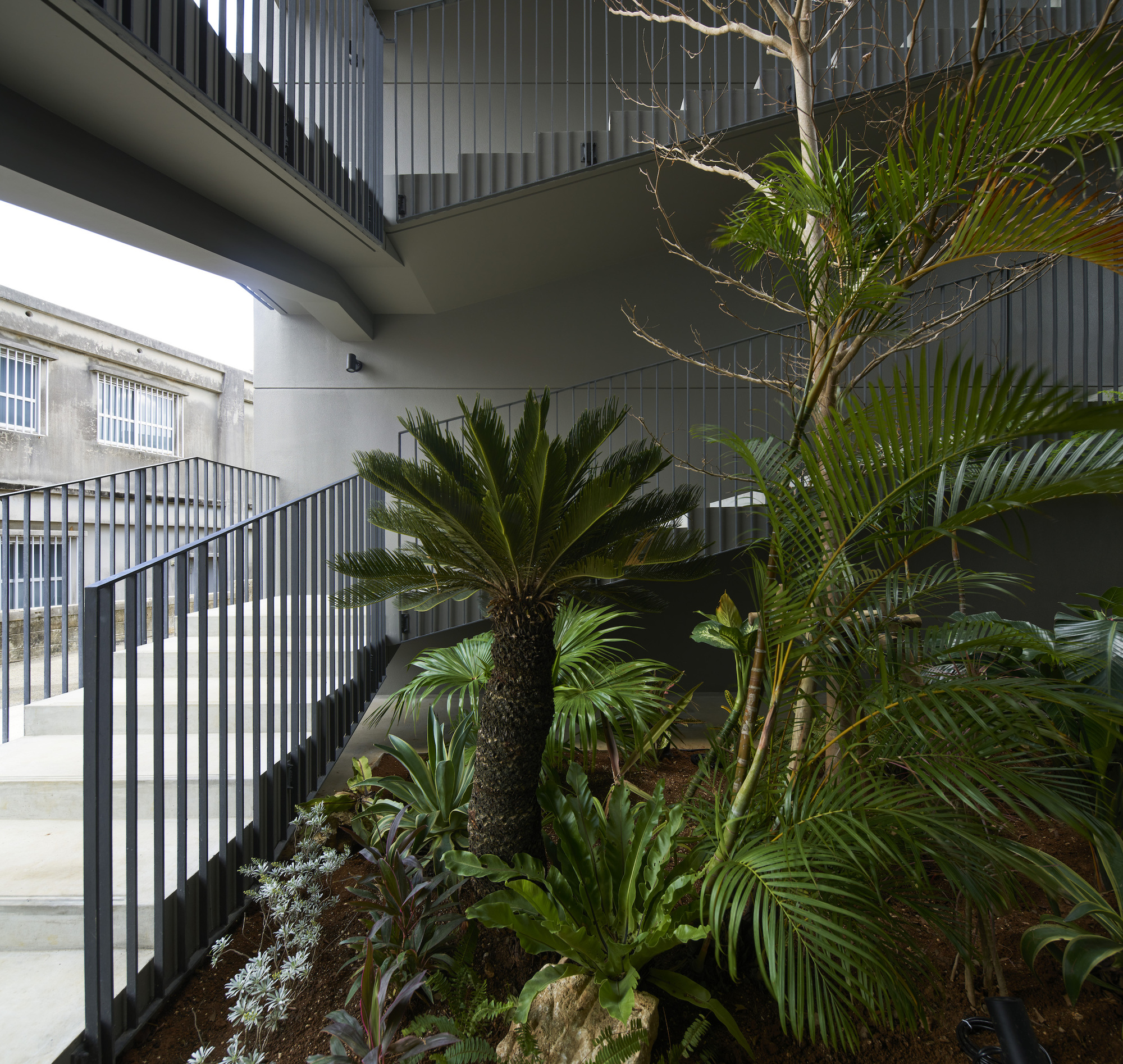 N 公寓丨日本丨Yohei Kawashima Architects-22