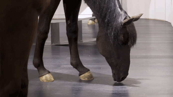 上海 HAUS SHANGHAI | 全球最大 Gentle Monster 旗舰店颠覆未来零售体验-48