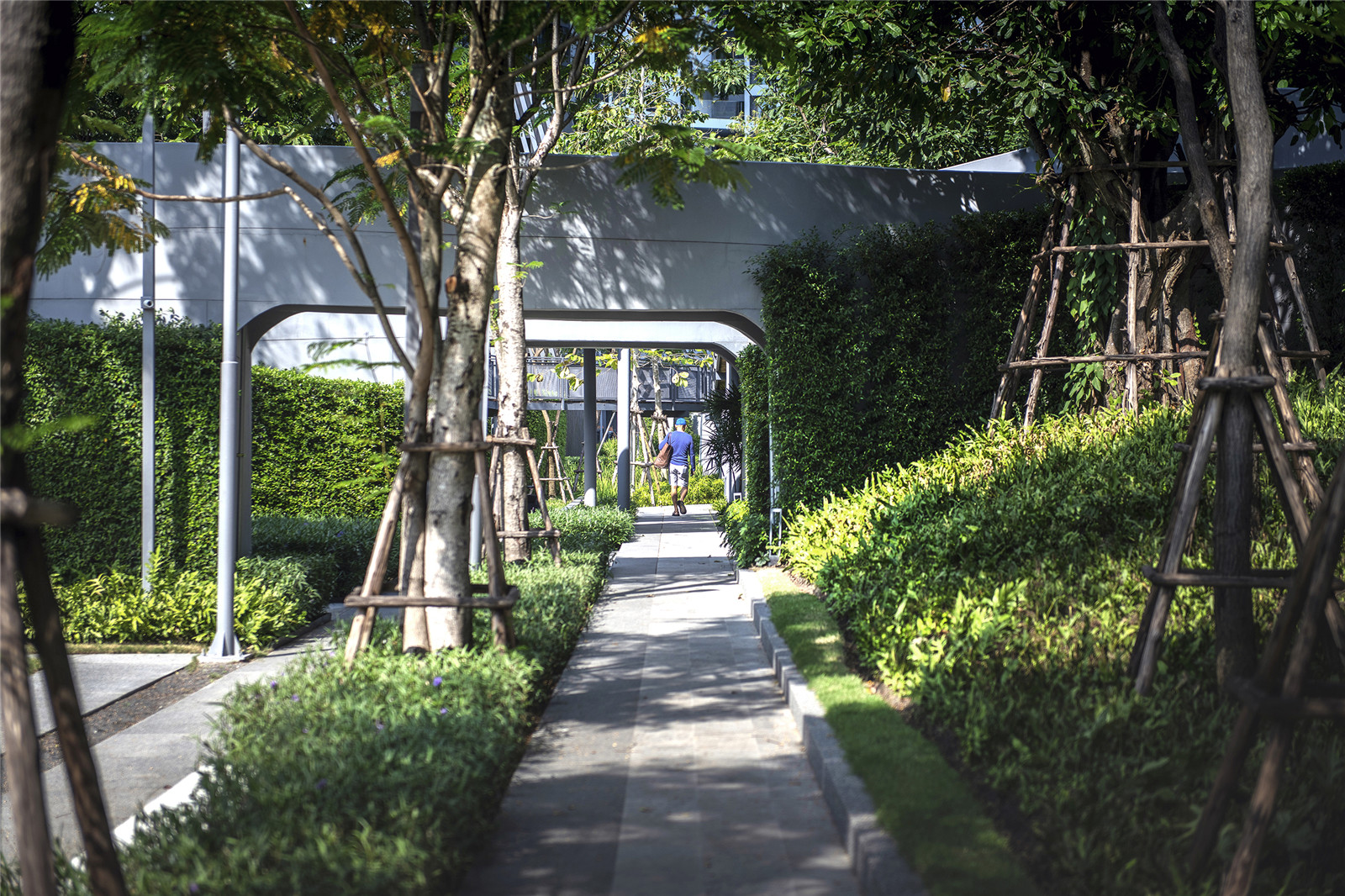 曼谷零碳住宅丨泰国曼谷丨IDEO O2-13