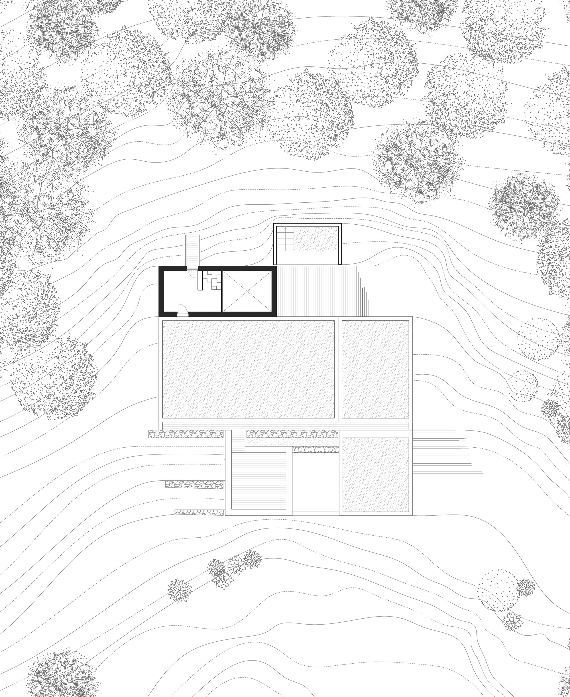 松林里的房子丨法国丨AT architectes-26