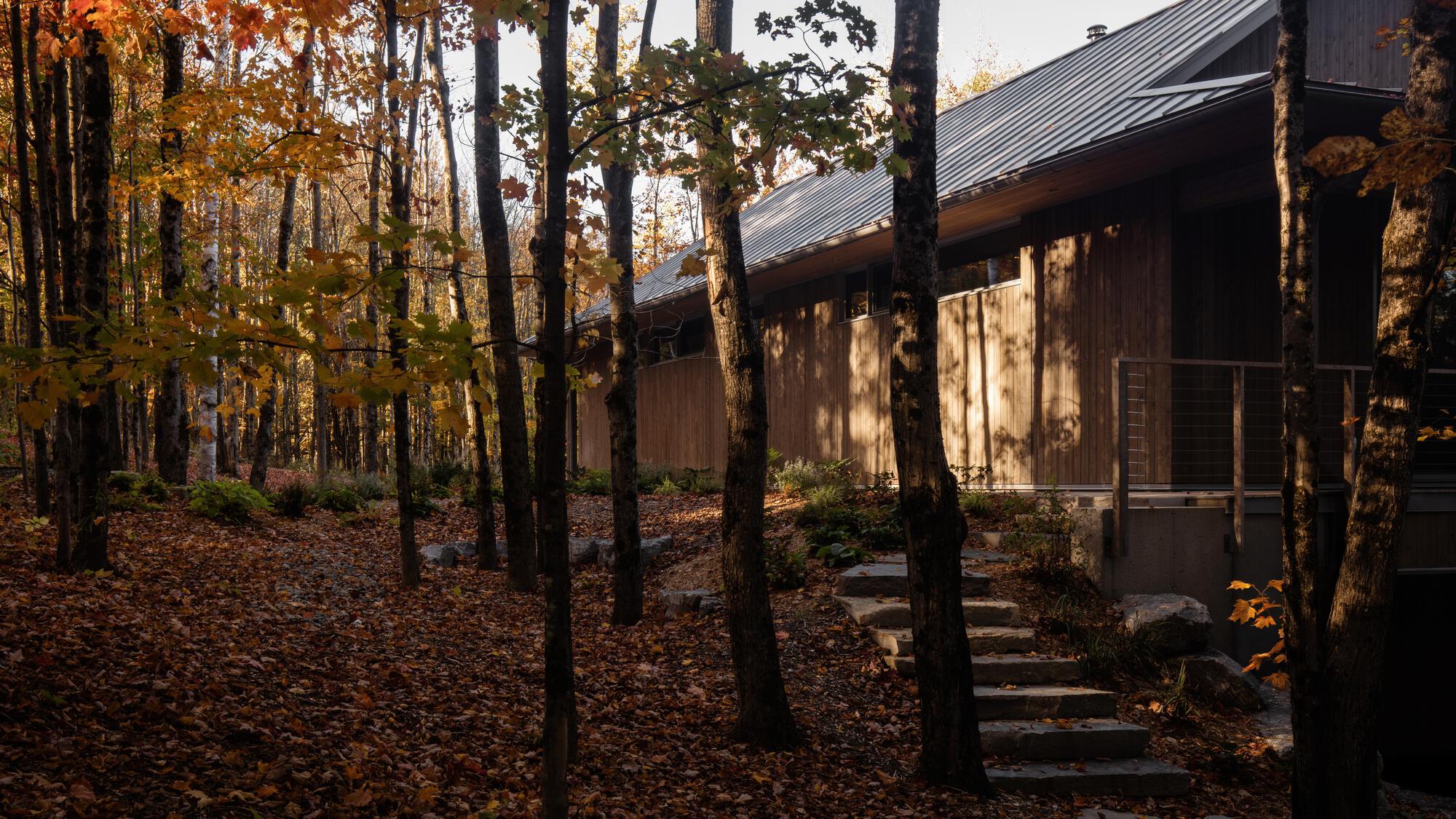 珀奇公寓（假设Perchée音译为珀奇，具体可能需结合实际情况确定更合适的名称） 丨加拿大丨Matière Première Architecture-26