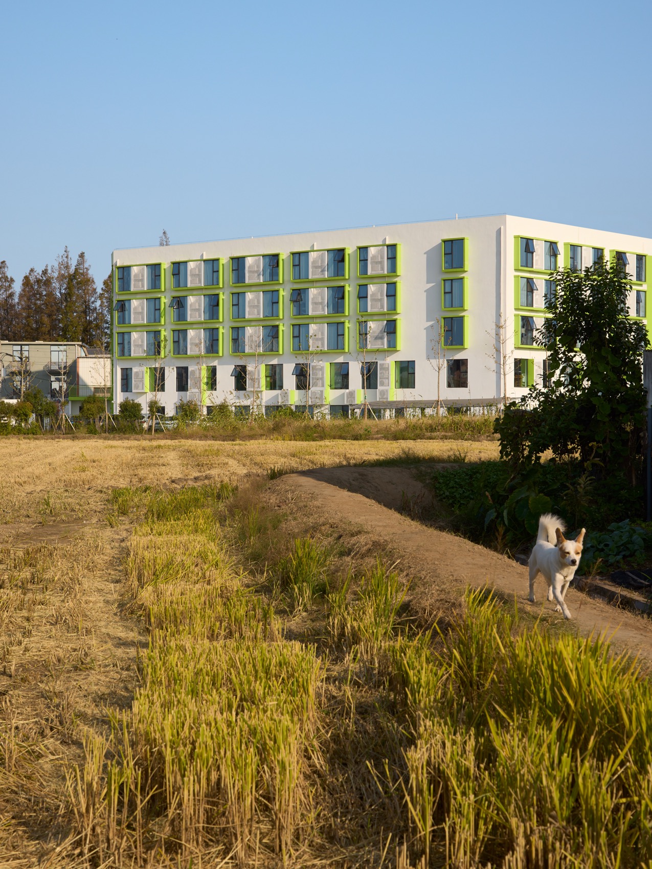 群乐村青年社区丨中国上海丨立木-80