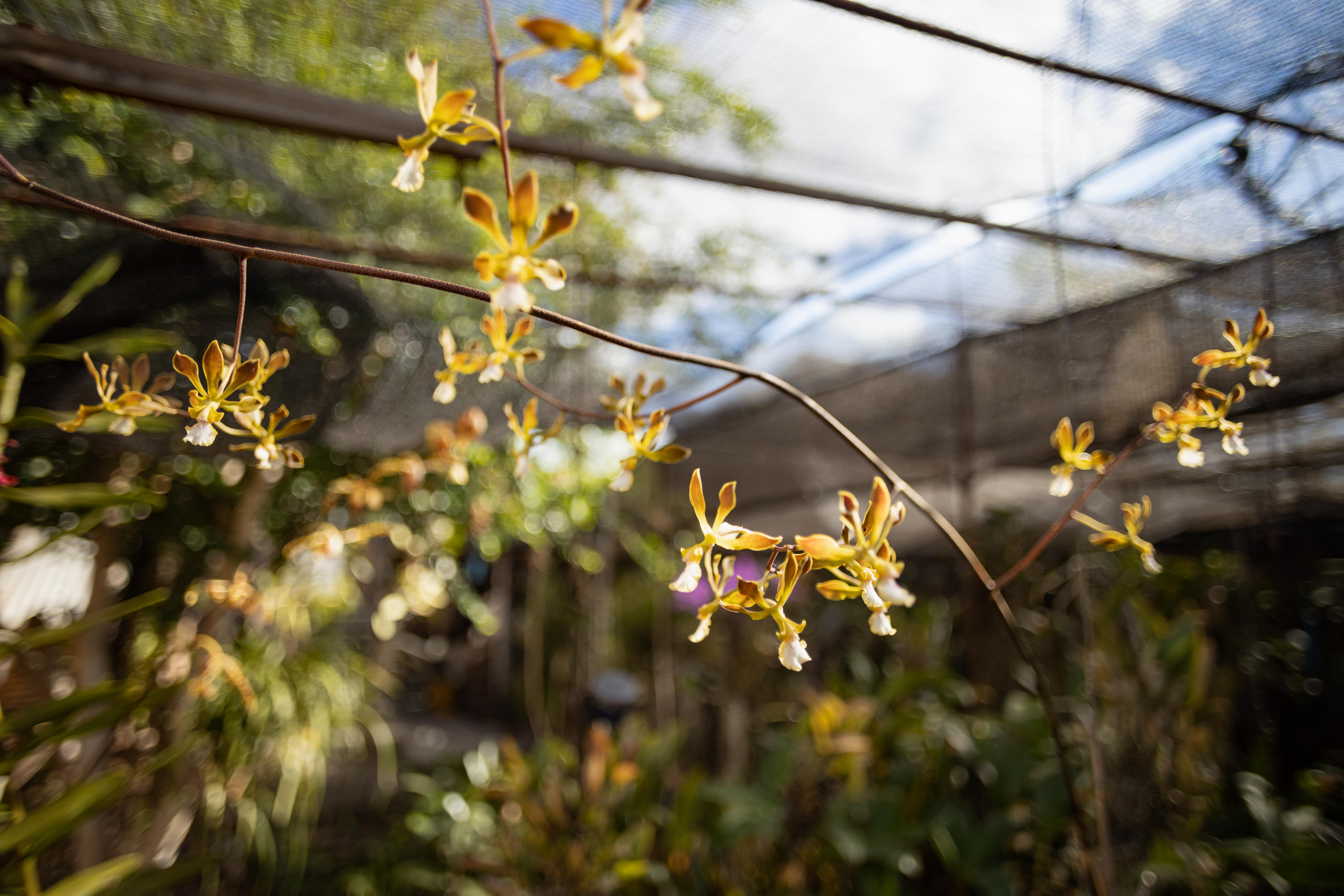 室内植物设计-0