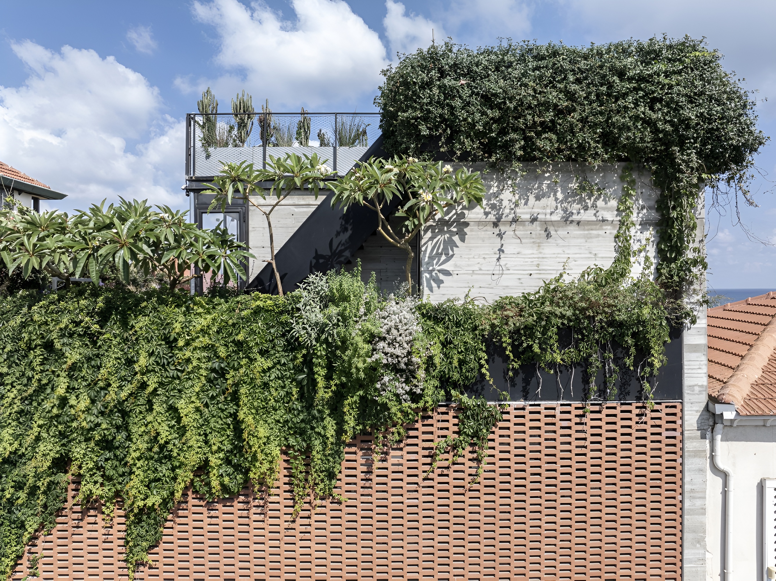 赤土联排别墅丨以色列丨Pitsou Kedem Architects-0