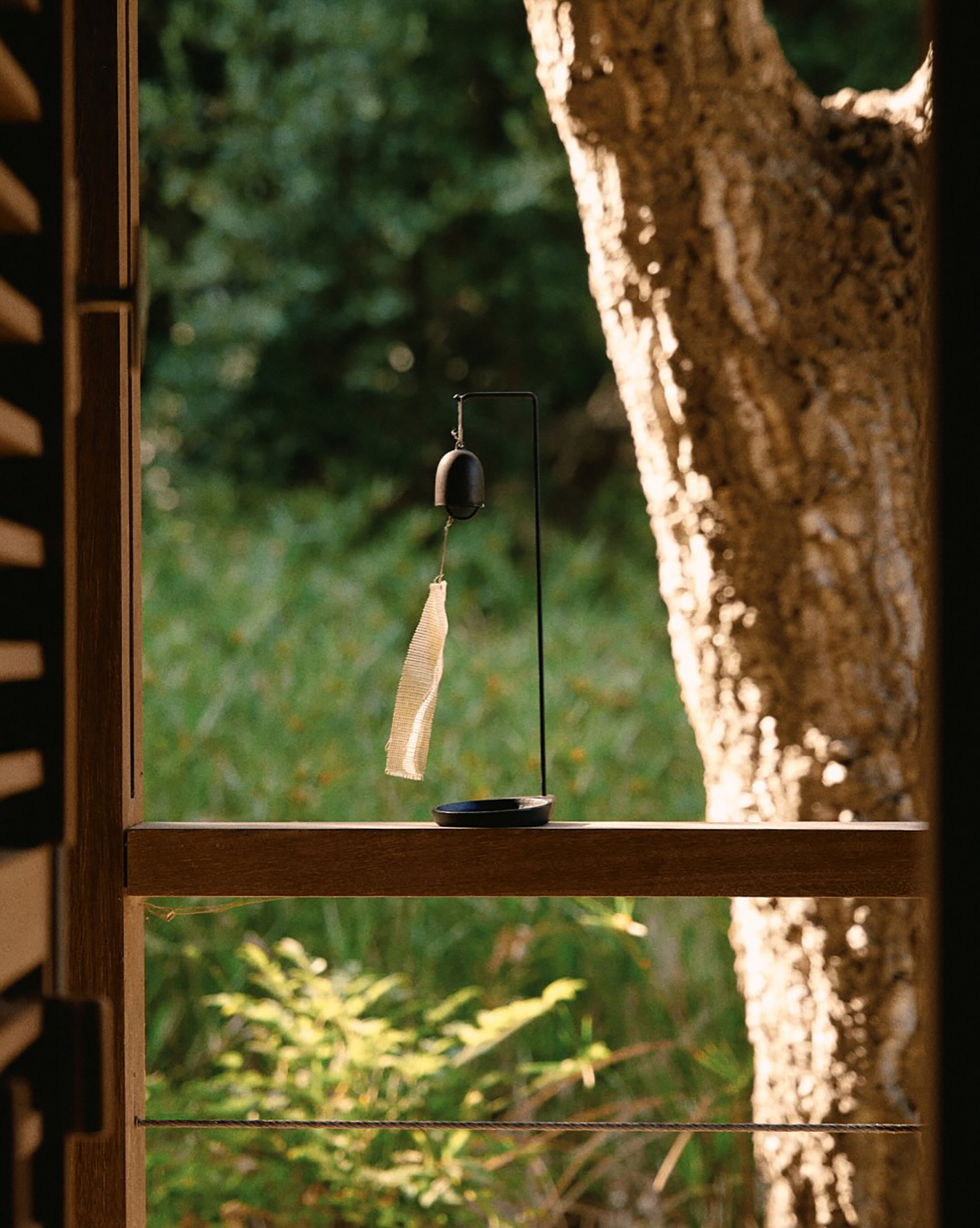 自然中的静谧沉思-1