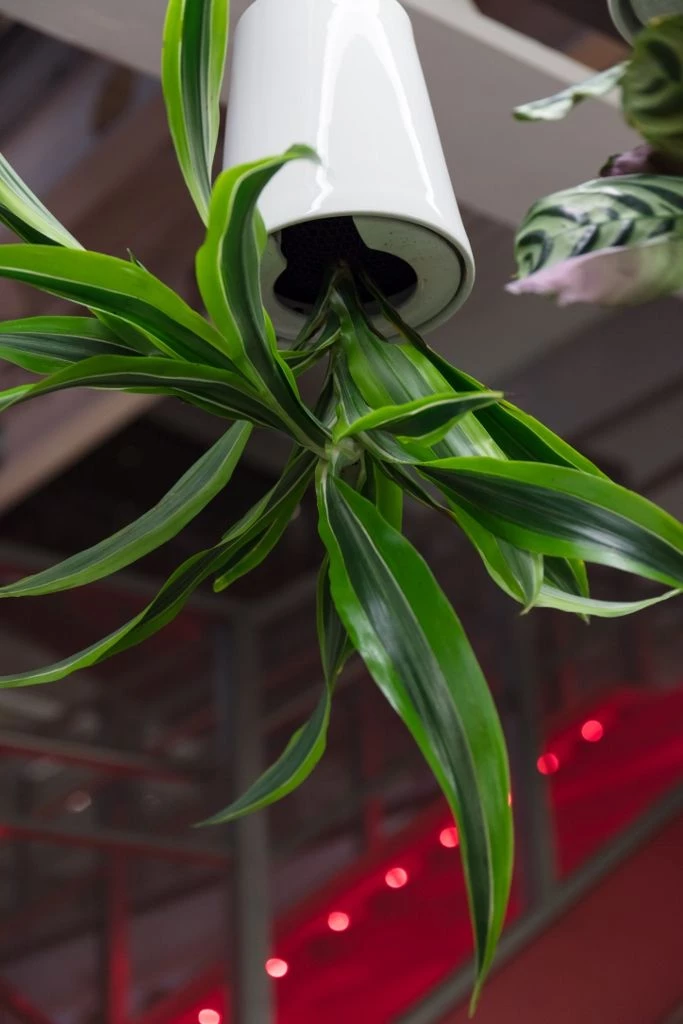 伦敦金融区澳大利亚金融服务公司办公室设计-30