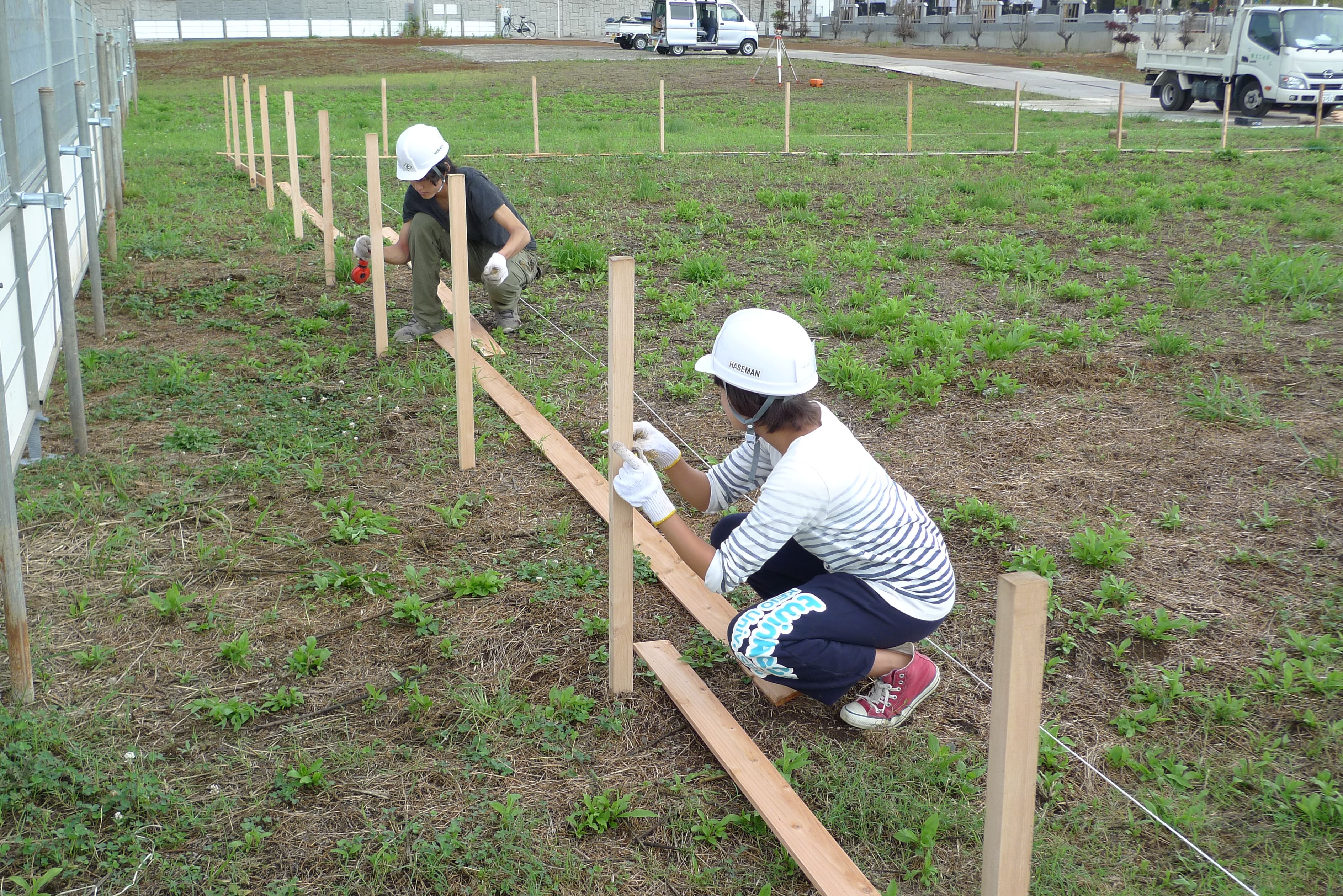 庆应义塾大学首个宿舍项目丨日本东京丨联合工作室（含Kazuyo Sejima等）-19