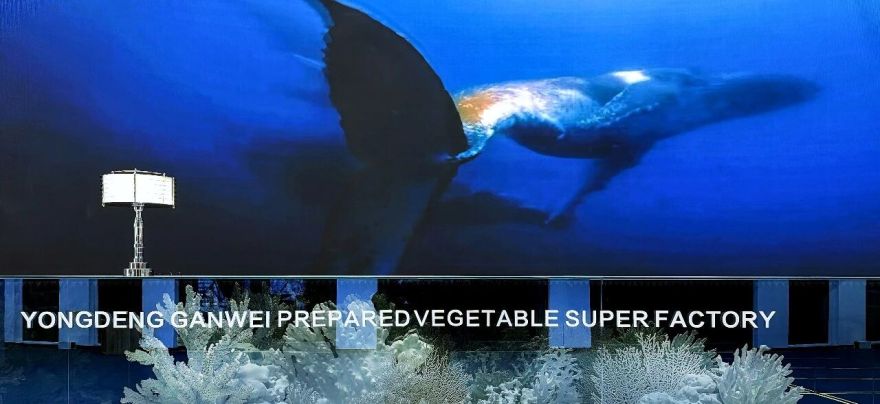 永登甘味安全净菜超级工厂博览长廊丨中国兰州丨福力设计 FLLLLLY DESIGN COMPANY-3