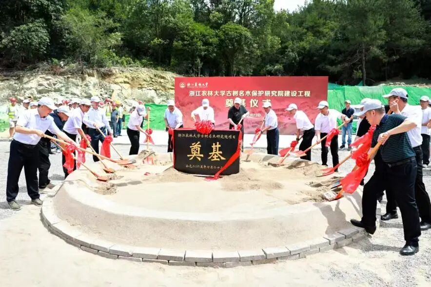 因石而立栖木为生|我院设计的浙江农林大学古树名木保护研究院奠基开工！-2