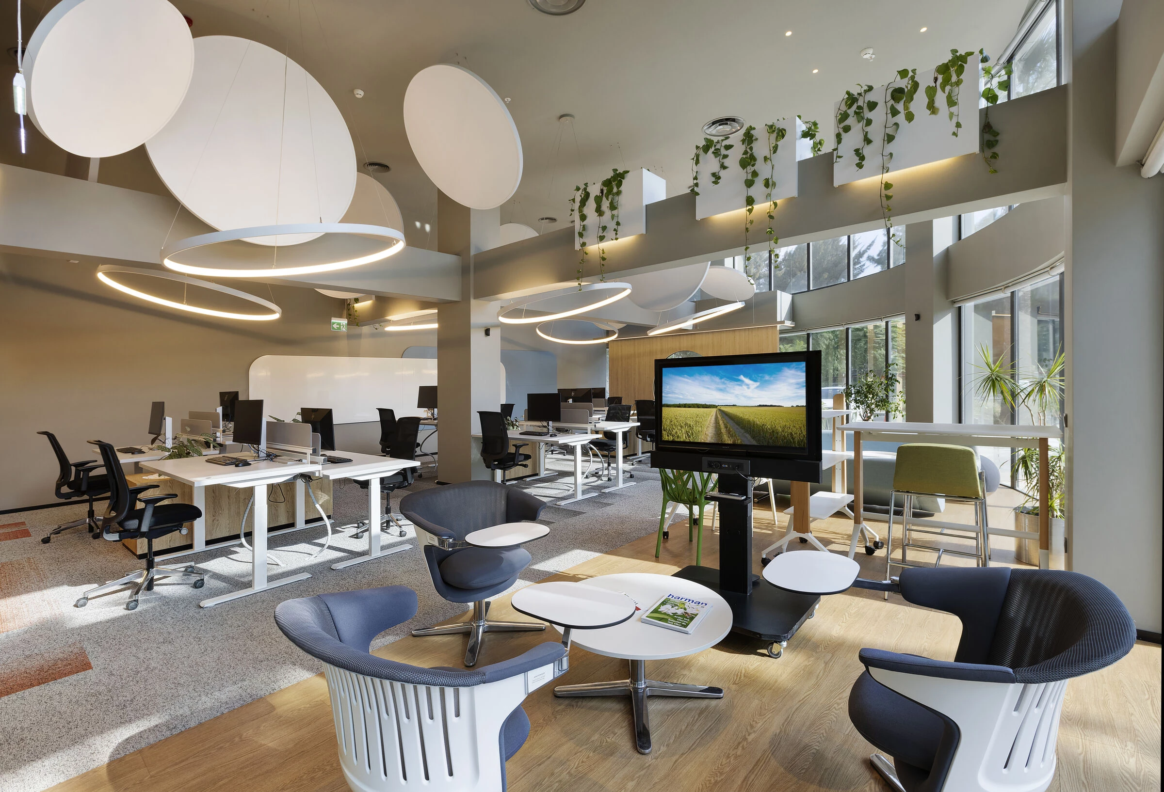 BASF 土耳其伊兹密尔办公室丨mimaristudio-14