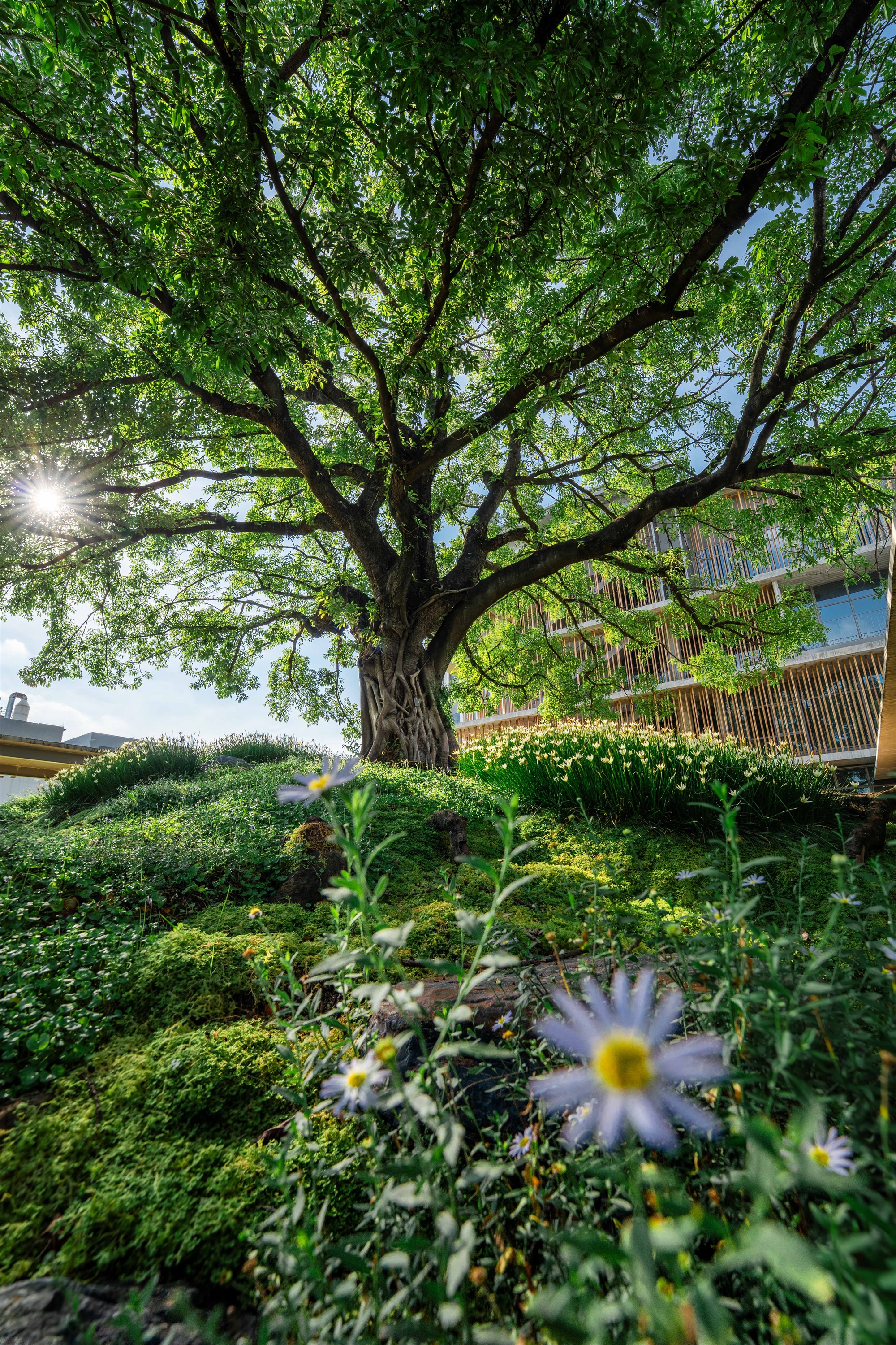 宝华智造产业园丨中国佛山丨成都无囿景观设计有限公司,佛山至岸园林-20