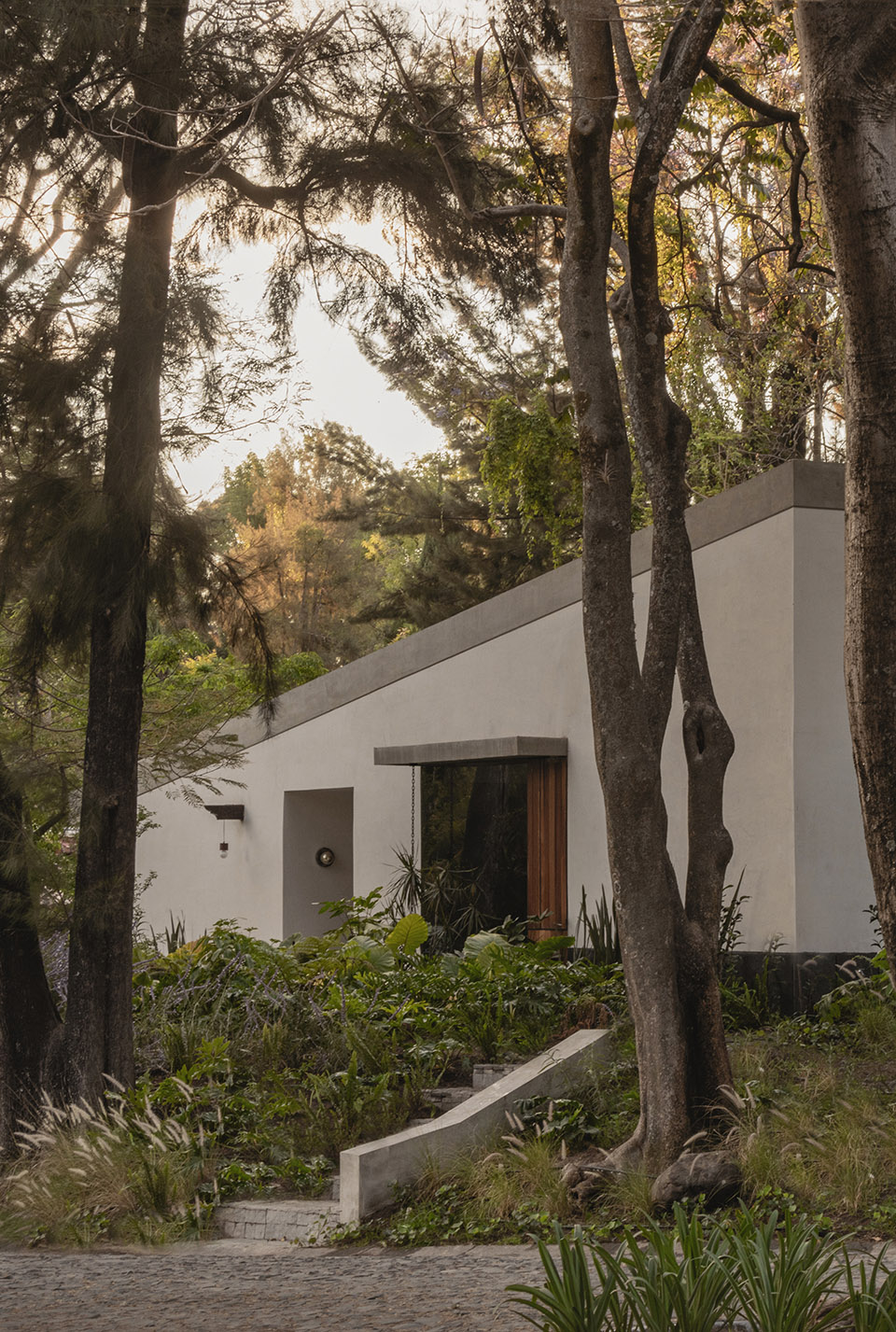 Malvas 59住宅丨墨西哥丨Estudio Radillo Alba-61