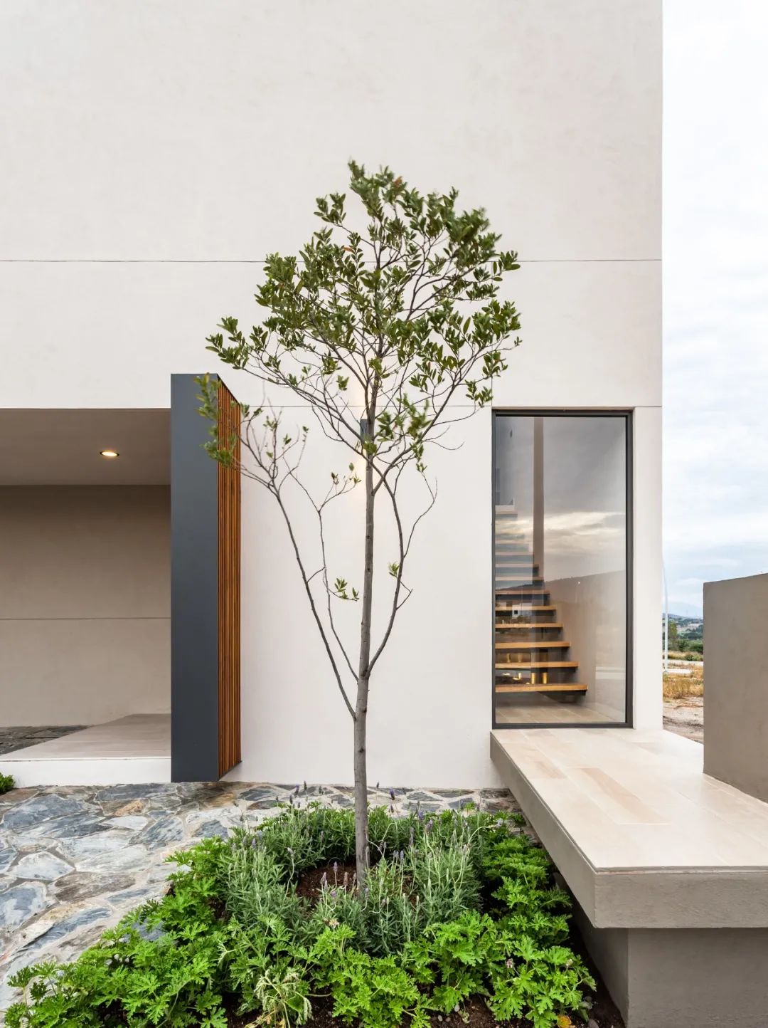 墨西哥现代住宅设计 | 融入自然，展现多元文化-29