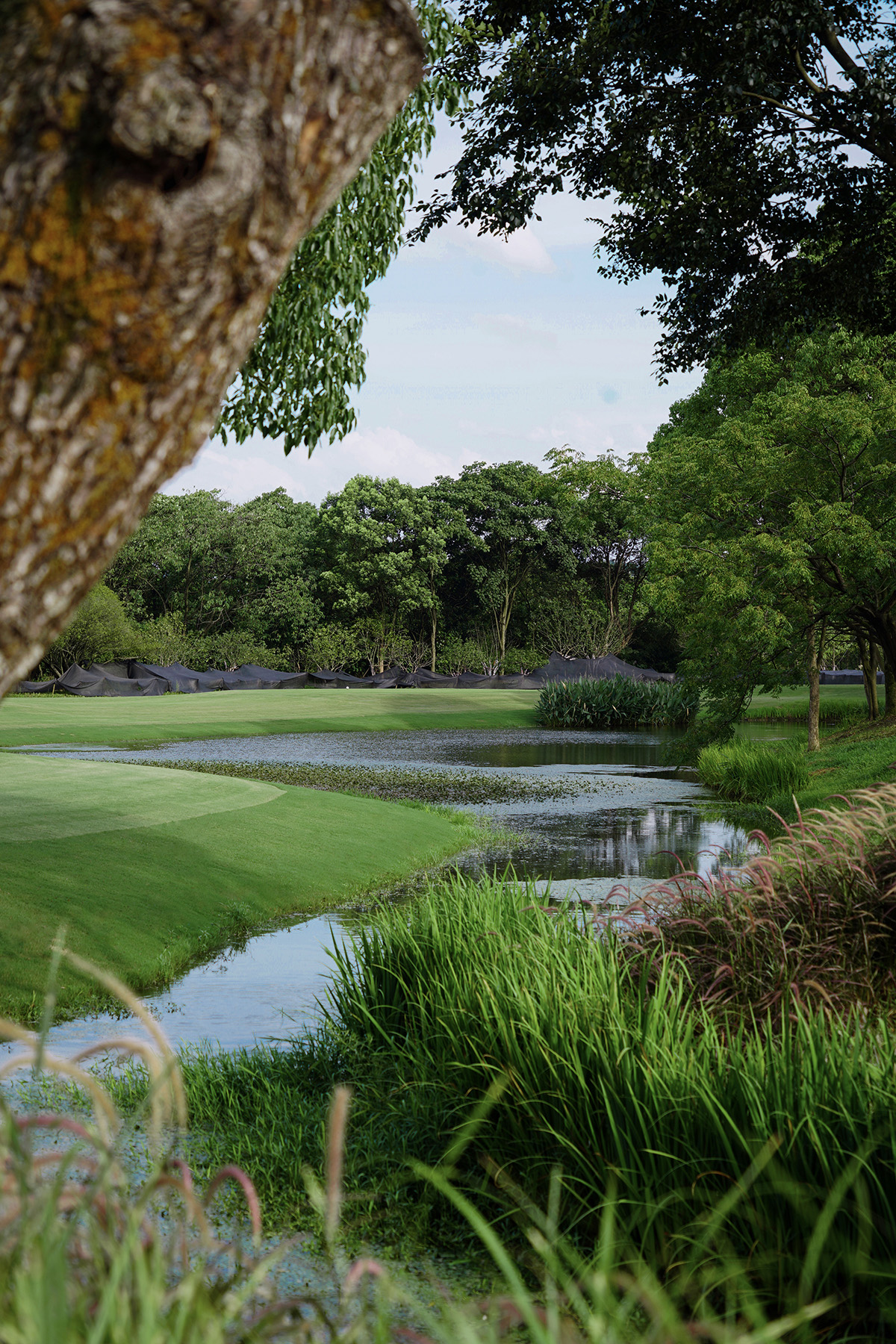 西湖高尔夫丨中国杭州丨NCD Studio 玖鹿设计-32