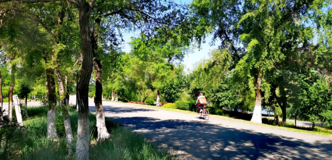 项目巡礼 | 东浑河大境悦赏：熙悦项目价值解读-68