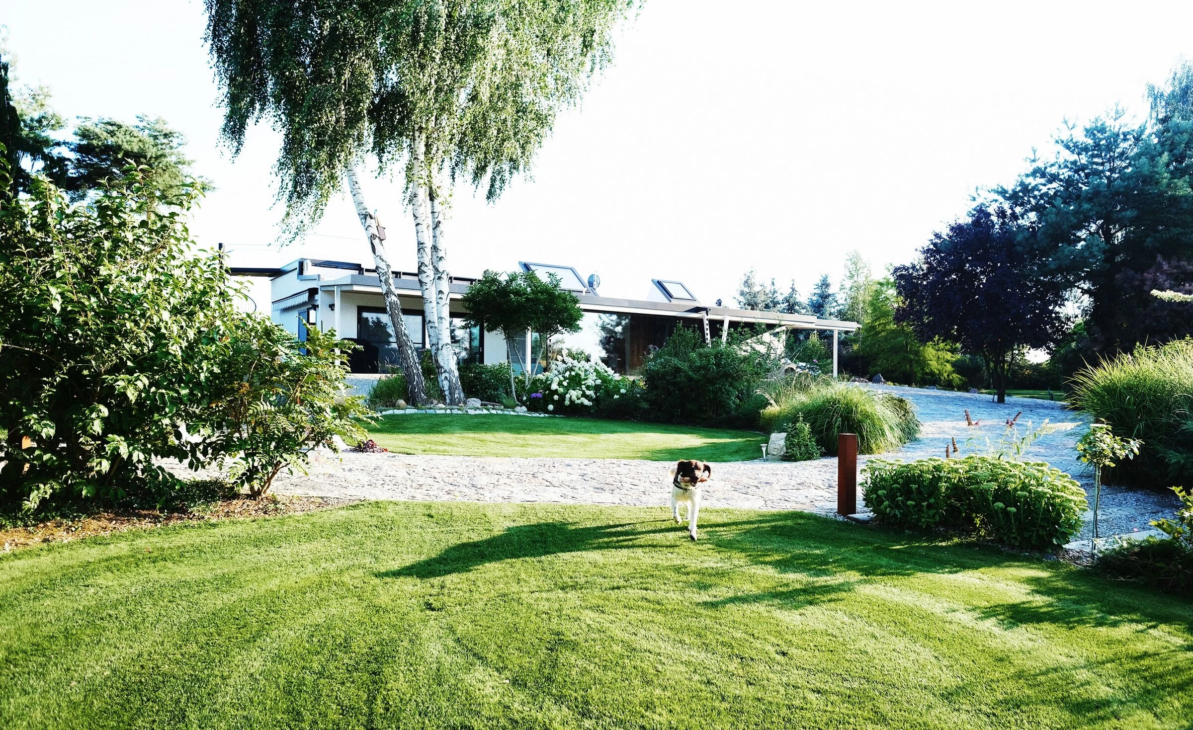 波兰湖畔别墅,四季美景尽收眼底-9