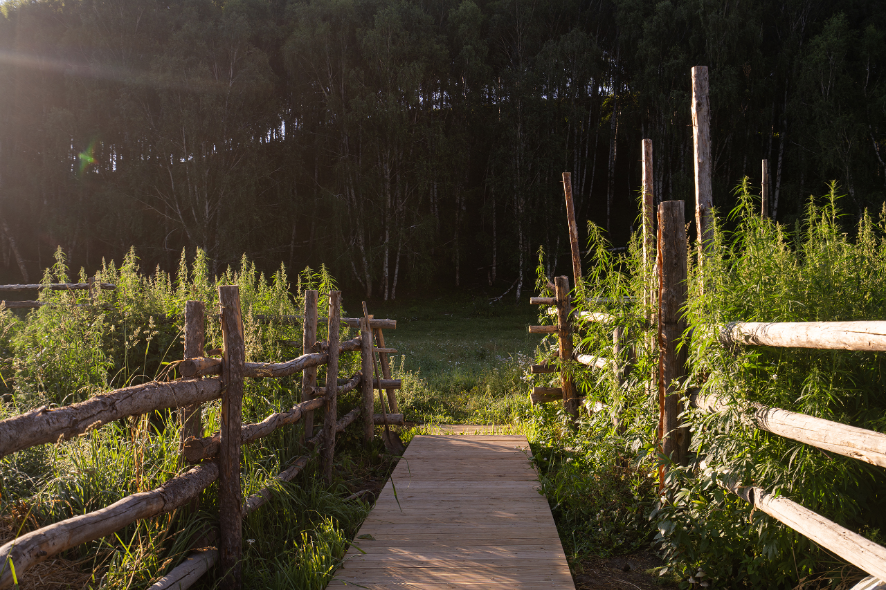 新作 · 于山 禾木丨土耳其阿勒-41