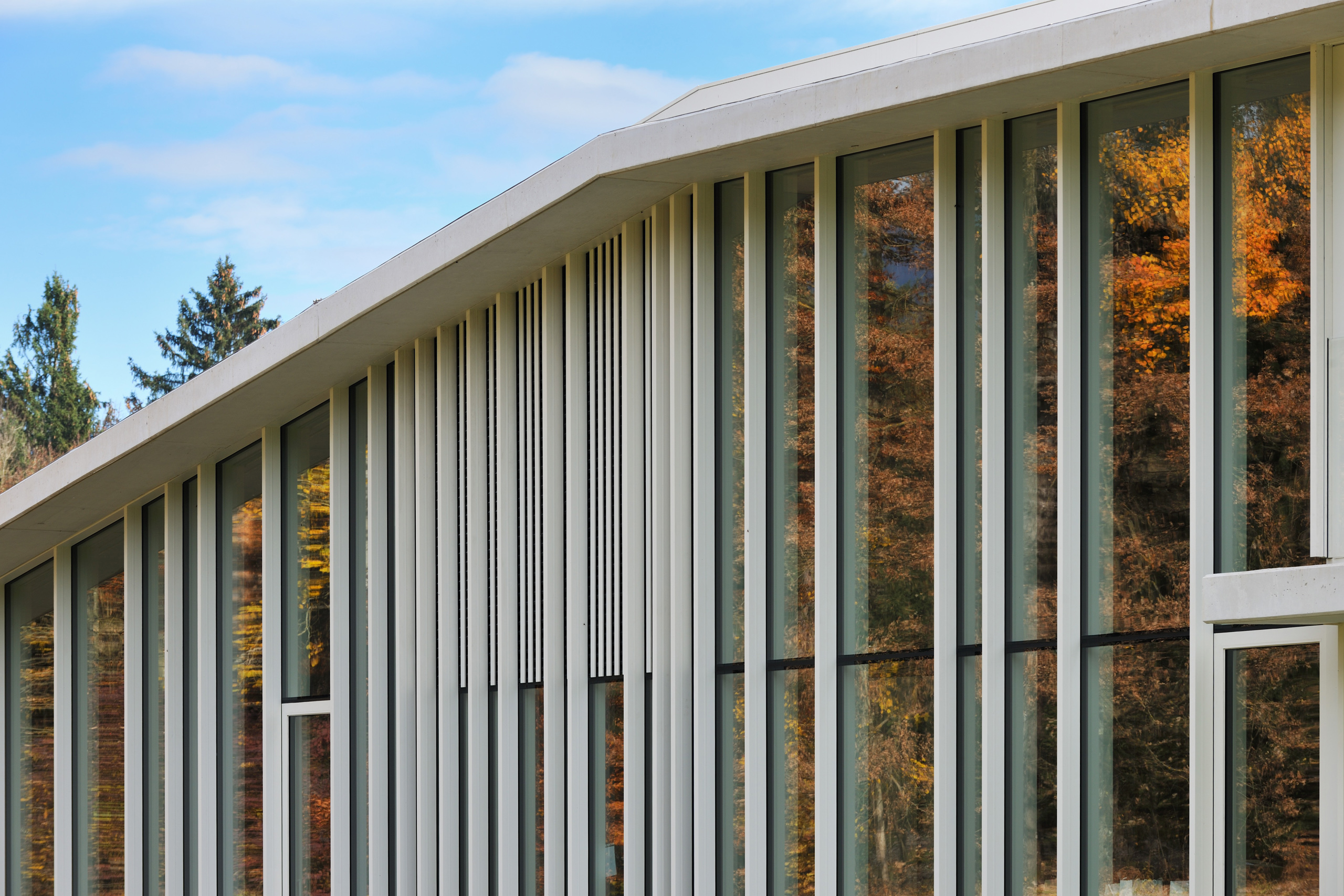 新西兰总部大楼 | 自然与人工的和谐交融-18