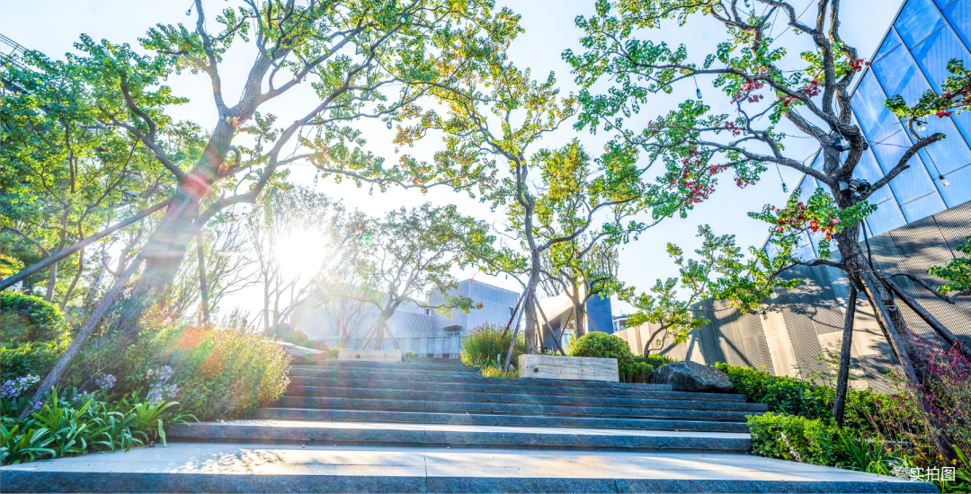 万家食堂VOL4|在森林公园，种下一座会呼吸的食堂-6