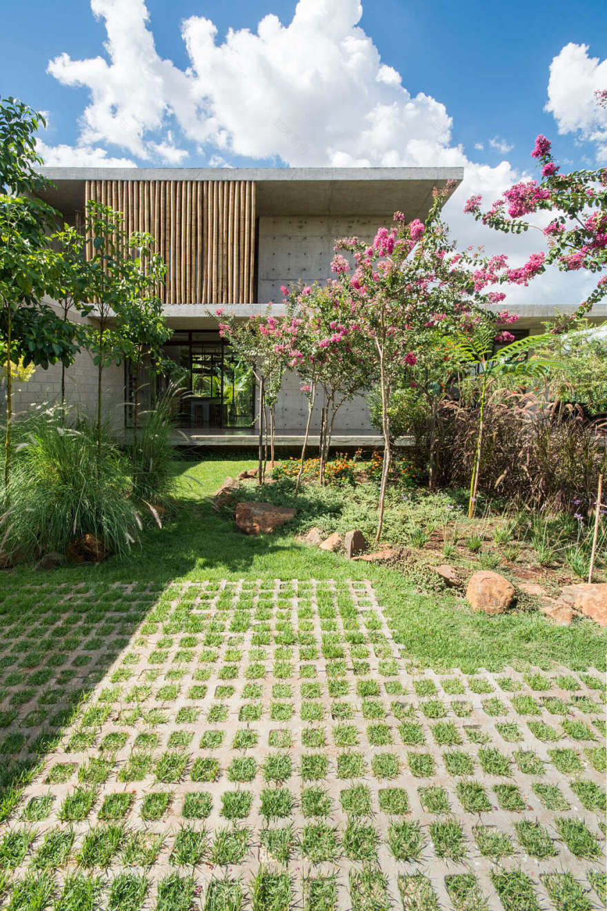 巴西悬浮竹影 concrete Petro 之家-7