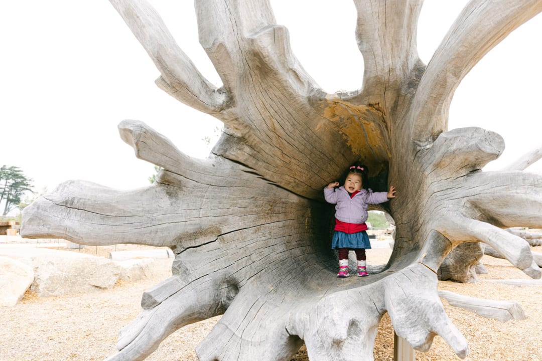 无忧之域 · Earthscape丨美国-29