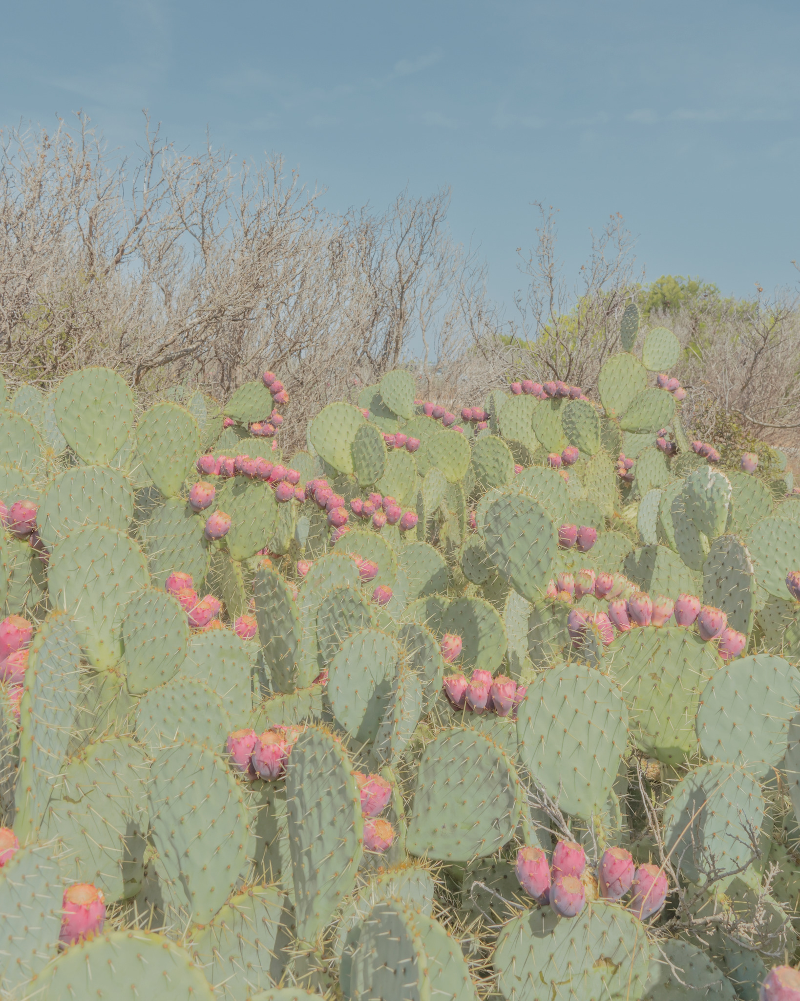 Summertime 摄影集丨法国-30