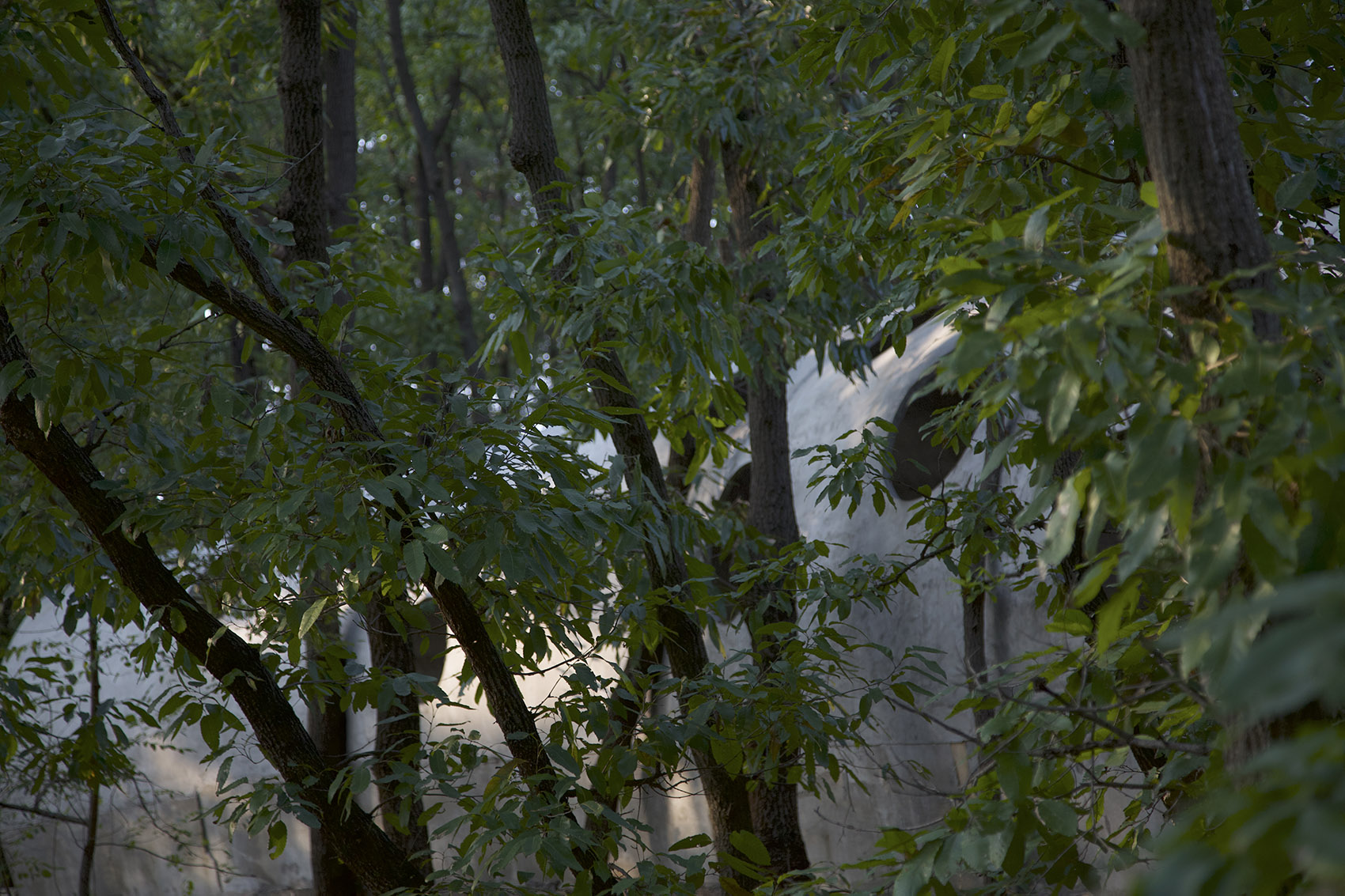 卧虎藏龙美术馆丨中国日照丨孔祥伟工作室-111