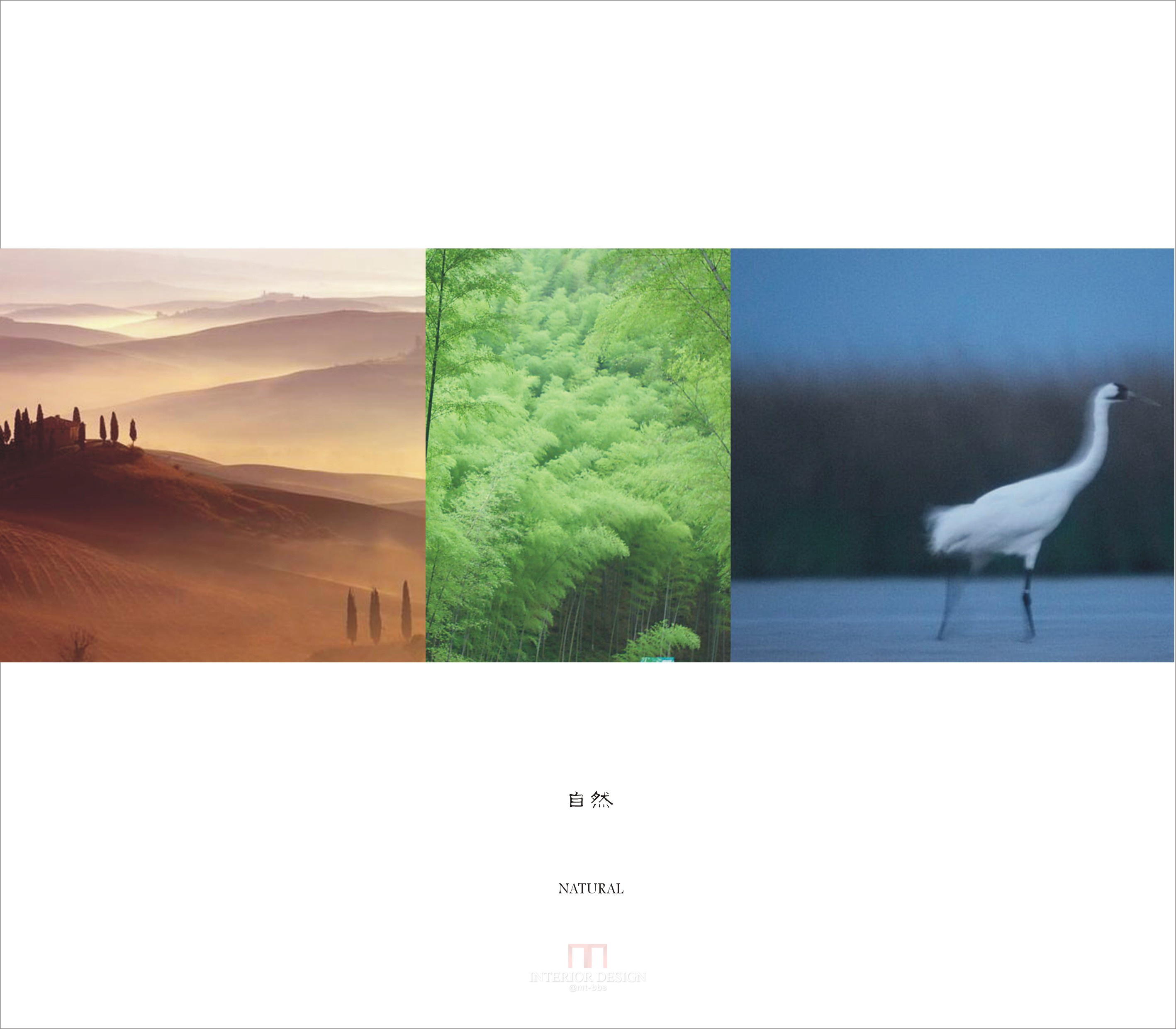 Blvd  海南冬宫概念方案-18