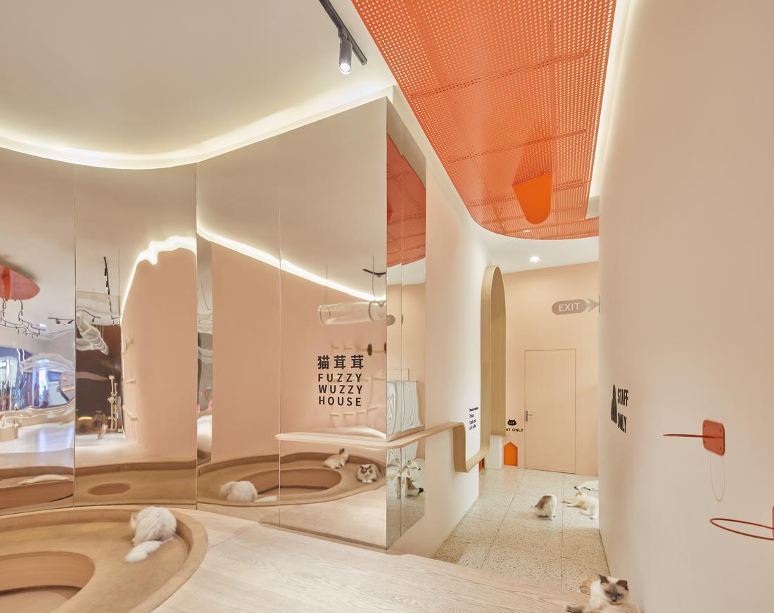 喵星人入侵 · 猫咪共享空间丨中国青岛丨黄士华-24