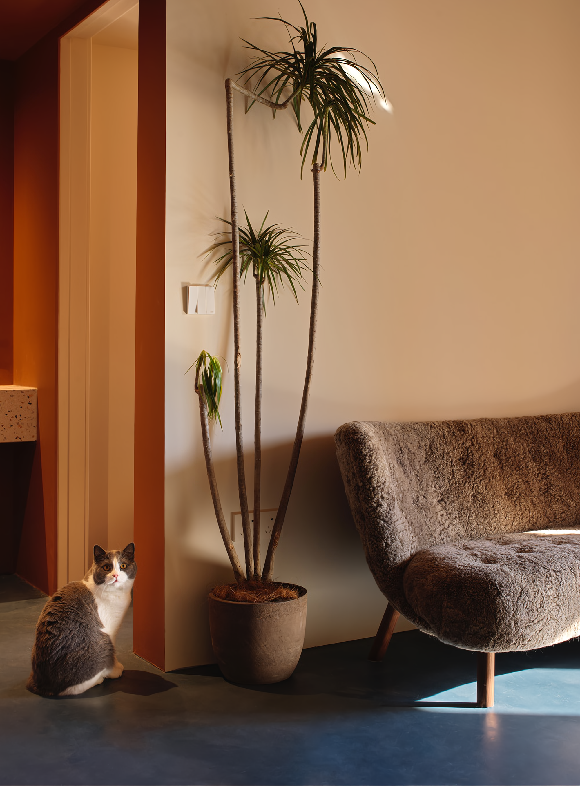 活泼撞色的童趣之家丨中国北京丨NOTHING DESIGN-15