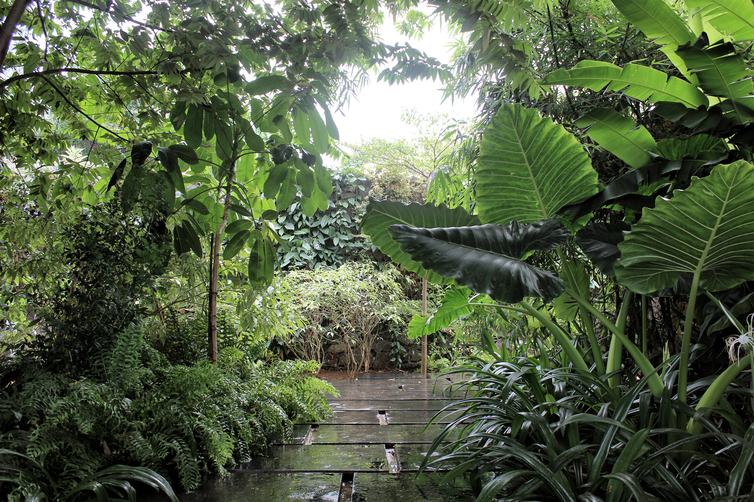 印度波纳湖边的石堡之家-45