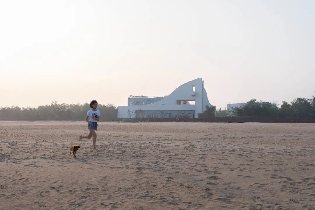 北北假日 BSC 航海基地 | 海边的白色风帆-20