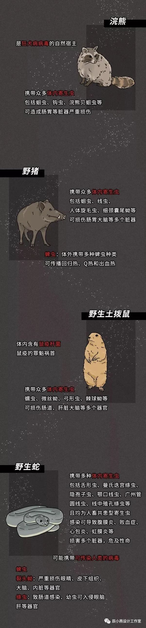 时间之翼 | 设计中找寻丢失的岁月-6