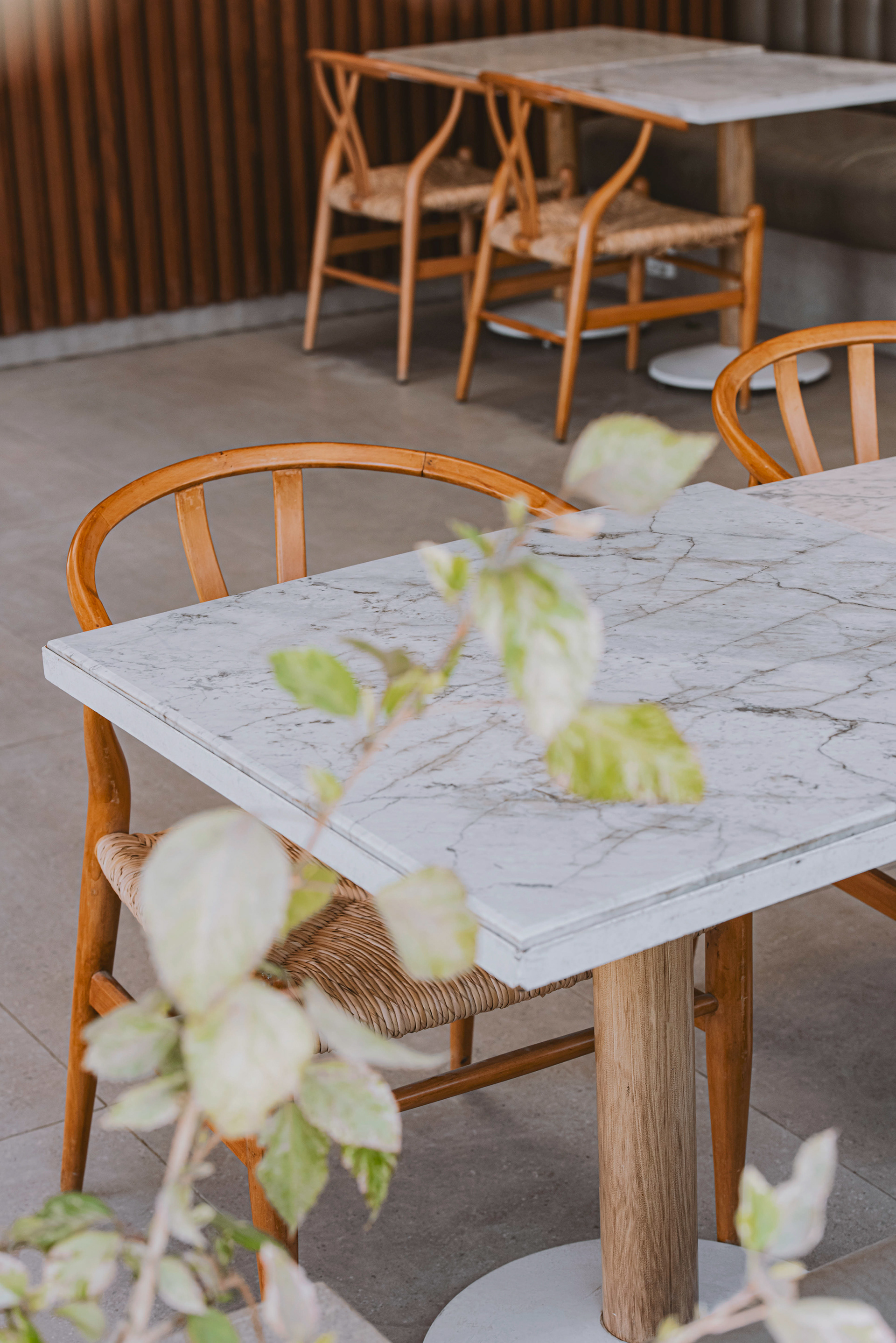 Cake Cafe - SWAN LAKE-25