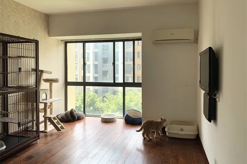 新城长岛常州老房改造,高筠晶打造秋日果实之家-89