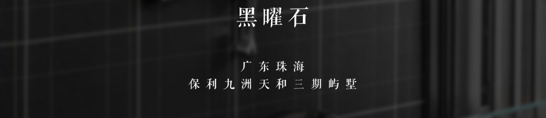 逆水行舟,再攀高峰——SNP 2020 年度回顾-46