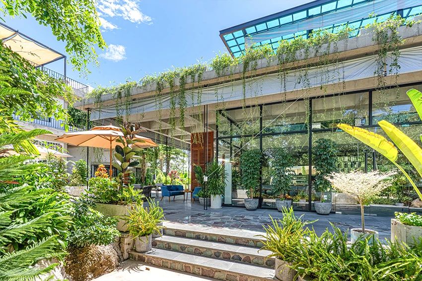 Khoan   Partners丨废弃混凝土建筑，变身充满自然气息的热带咖啡馆兼餐厅-9