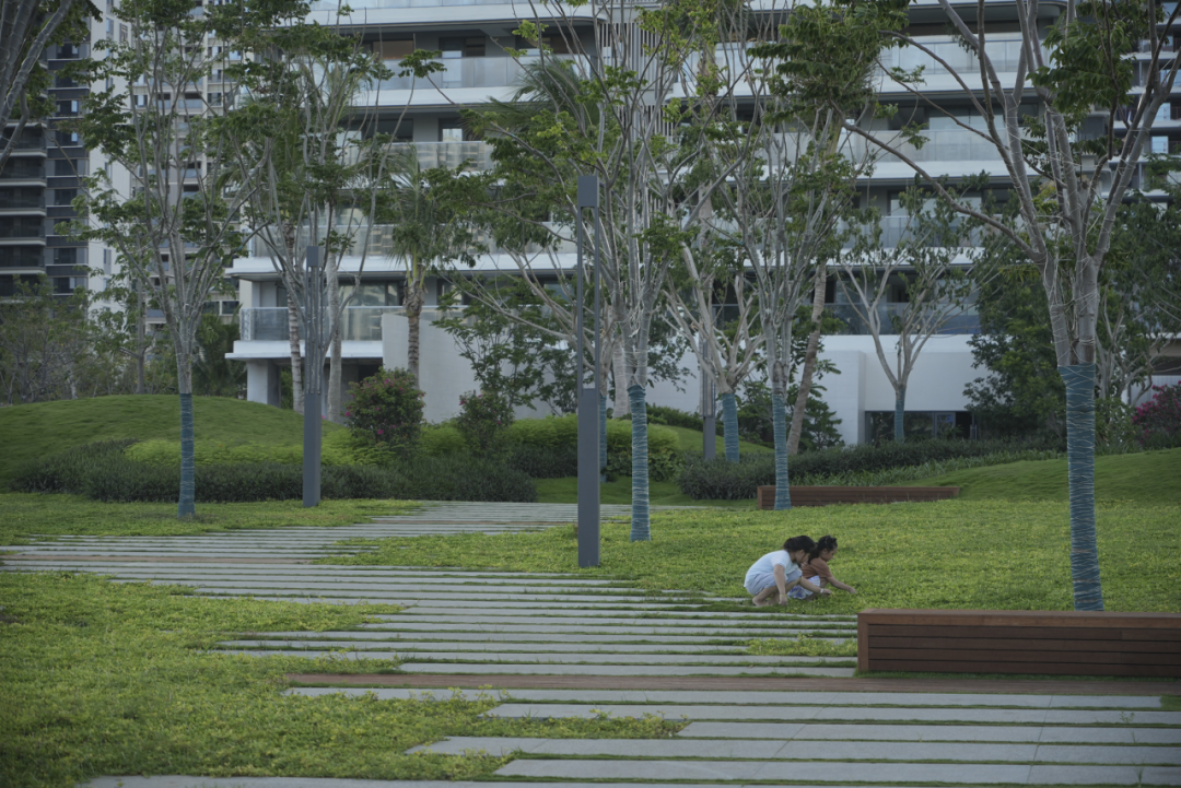 三亚崖州湾科技城通海公园五区丨中国三亚丨成都麦微景观建筑事务所-86