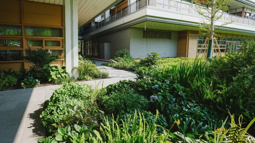 上海建工匠心打造“城市绿色客厅”，浦东“四馆一园”公共空间焕新-26