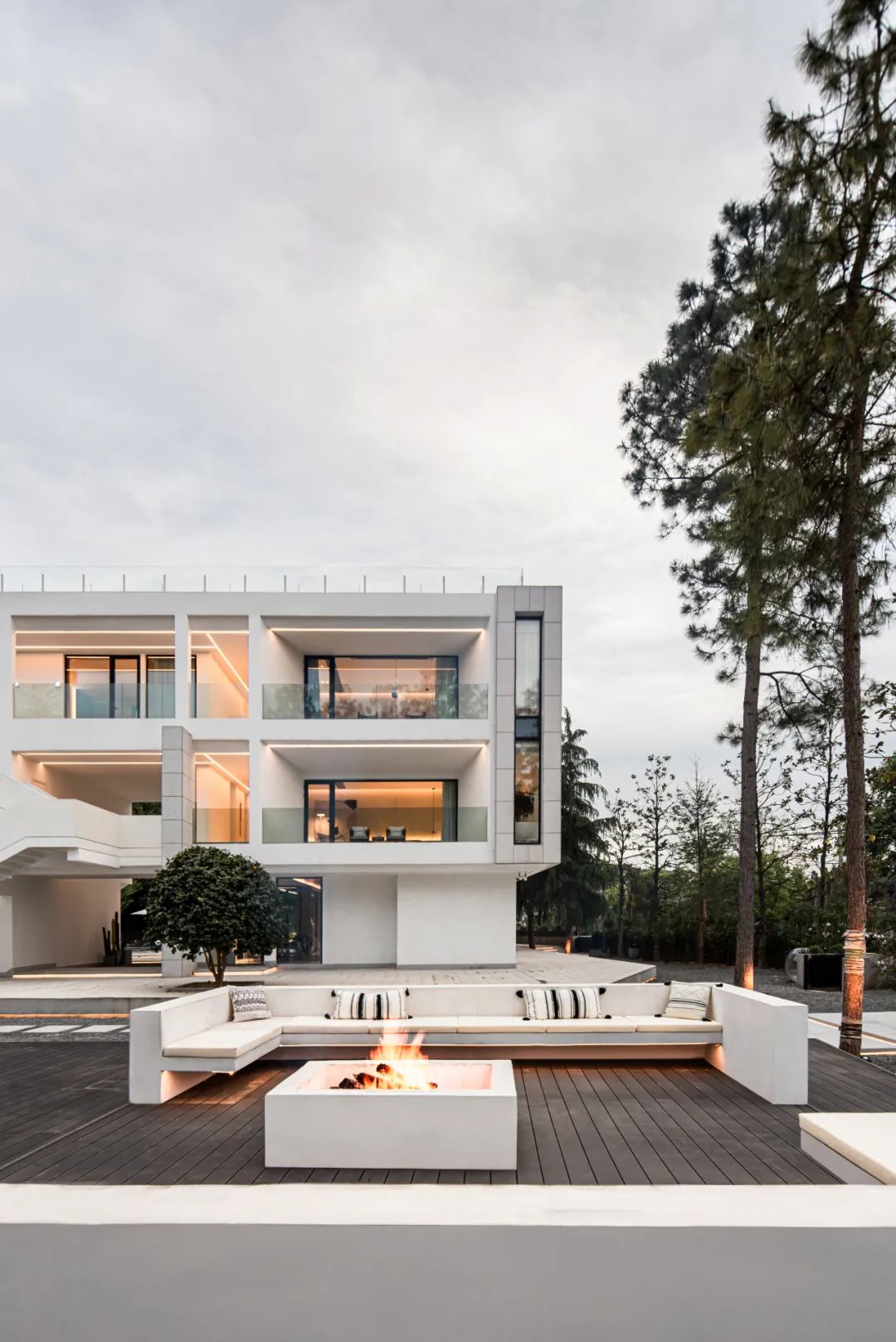 莫干山秘境杉林,尽享自然之美-23